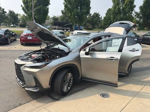 Used 2023 Lexus NX 350 AWD w/ Cold Area Package image 10