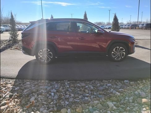 New 2026 Hyundai Tucson Limited AWD/4WD image 6