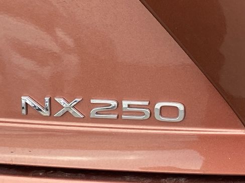 Used 2025 Lexus NX 250 FWD image 5