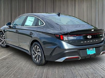New 2026 Hyundai Sonata Blue