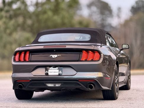 Used 2019 Ford Mustang Premium image 12