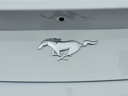 New 2026 Ford Mustang EcoBoost image 24
