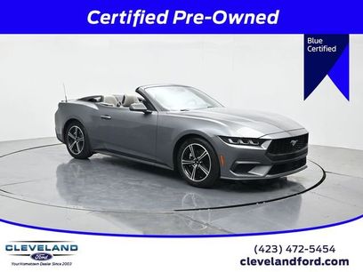 Used 2024 Ford Mustang Premium
