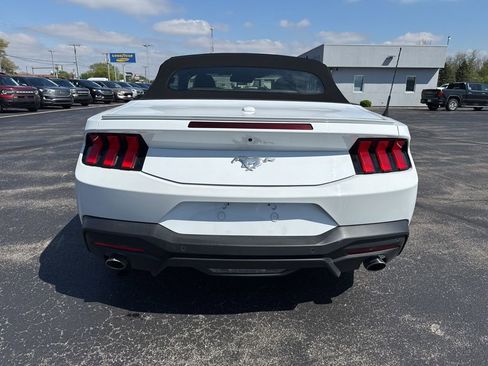 Used 2025 Ford Mustang Premium RWD image 6