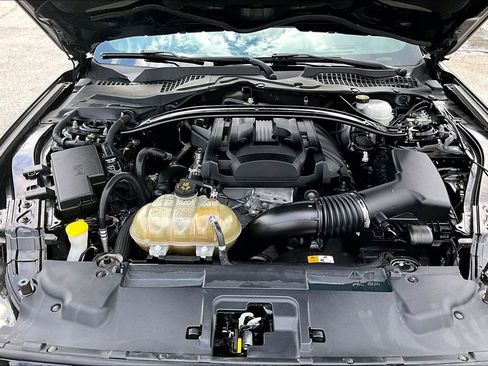 Used 2018 Ford Mustang Premium w/ Ecoboost Performance Package RWD image 28