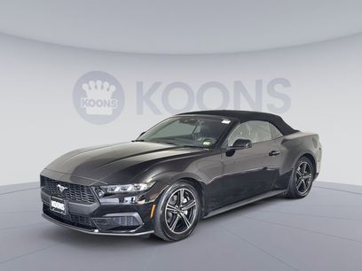 Used 2024 Ford Mustang Premium