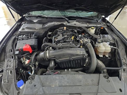 Used 2024 Ford Mustang Premium image 11
