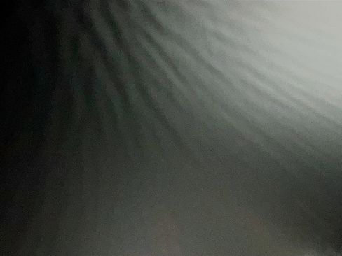 Used 2024 Ford F150 STX w/ STX Black Appearance Package AWD/4WD image 21