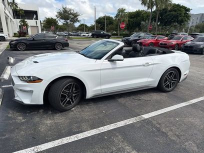 Used 2019 Ford Mustang Premium
