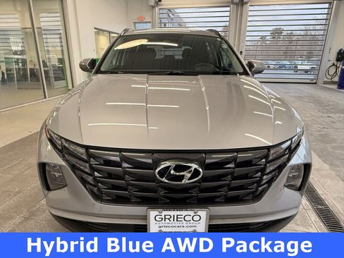 Used 2024 Hyundai Tucson Blue image 2