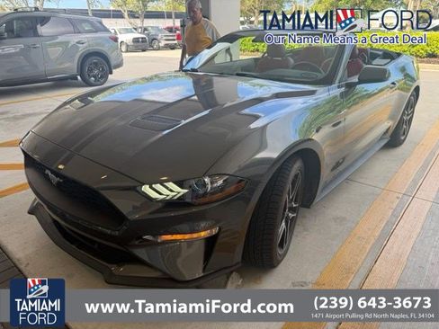 Used 2020 Ford Mustang Premium w/ Equipment Group 201A RWD image 1