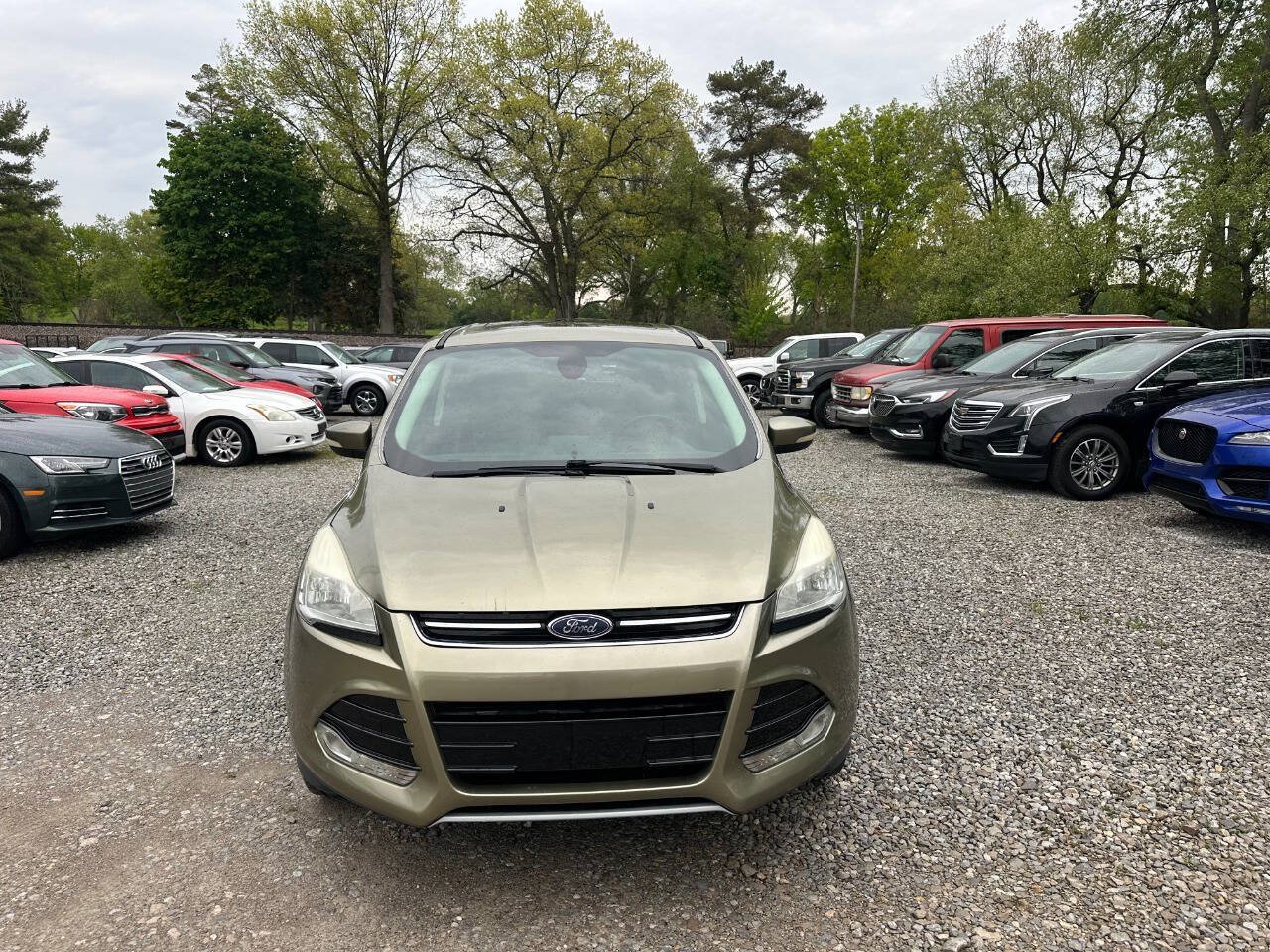 Used 2013 Ford Escape SEL AWD/4WD image 2