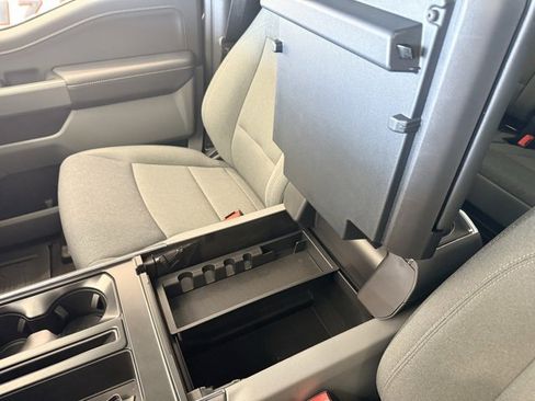 New 2025 Ford F150 XLT w/ Equipment Group 303A High image 34