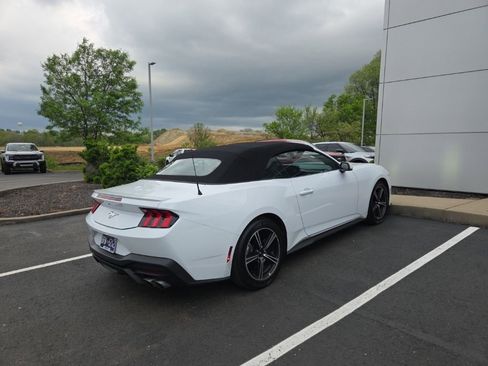 Used 2024 Ford Mustang Premium image 5