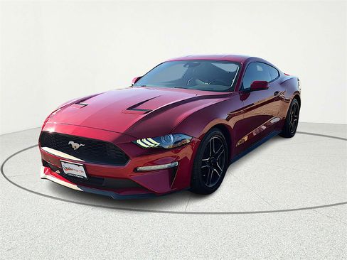 Used 2023 Ford Mustang Premium w/ Equipment Group 201A image 1
