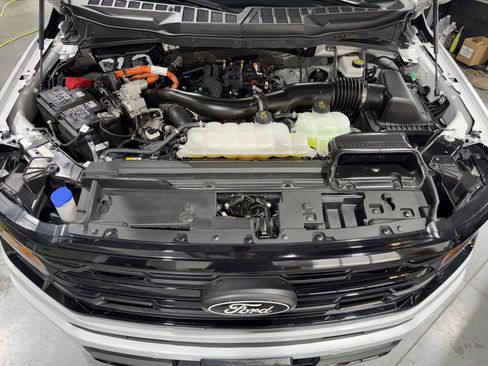 Used 2025 Ford F150 XLT w/ Equipment Group 302A MID AWD/4WD image 41