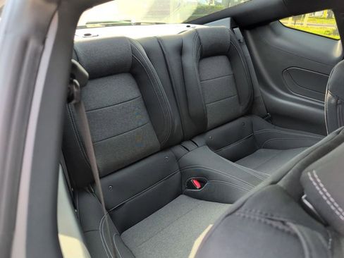 New 2026 Ford Mustang EcoBoost Nite Pony w/ Mustang Nite Pony Package image 16