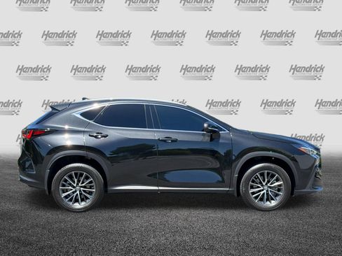Used 2023 Lexus NX 350 AWD w/ Cold Area Package image 3