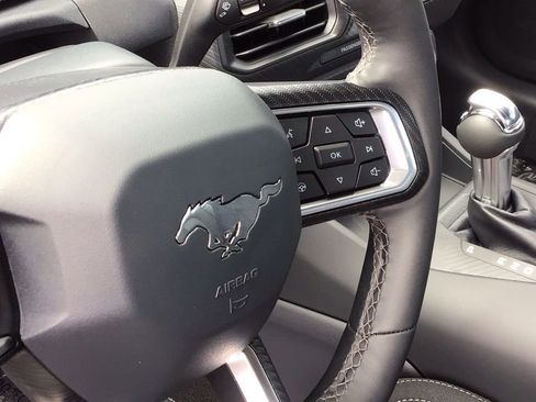 New 2025 Ford Mustang Coupe w/ Wheel & Stripe Package RWD image 17