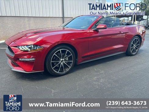 Used 2020 Ford Mustang Premium w/ Equipment Group 201A RWD image 1