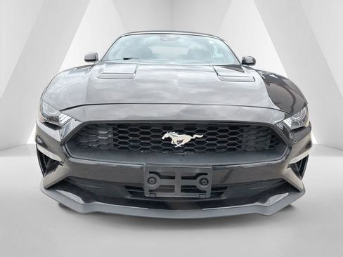 Used 2023 Ford Mustang Premium RWD image 2