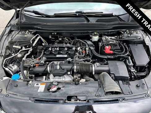 Used 2019 Honda Accord EX-L image 30