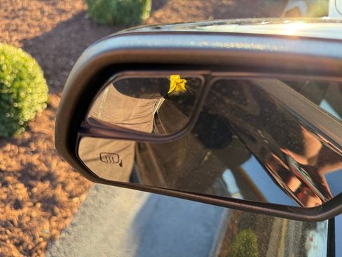 Used 2019 Ford Mustang GT Premium w/ Ford Safe & Smart Package image 13