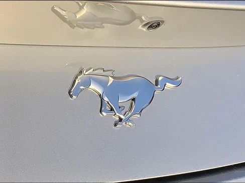 Used 2025 Ford Mustang Premium RWD image 29