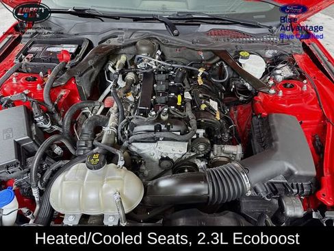 Certified 2022 Ford Mustang Premium image 28