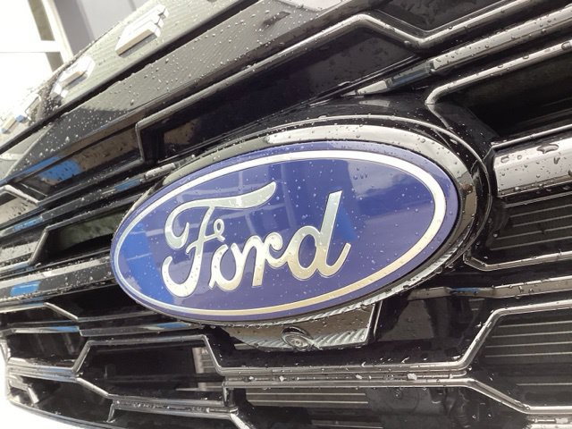 Used 2025 Ford Expedition Max Platinum AWD/4WD image 4