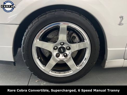 Used 2004 Ford Mustang Cobra RWD image 4