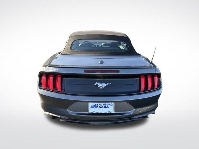 Used 2019 Ford Mustang Premium RWD image 4