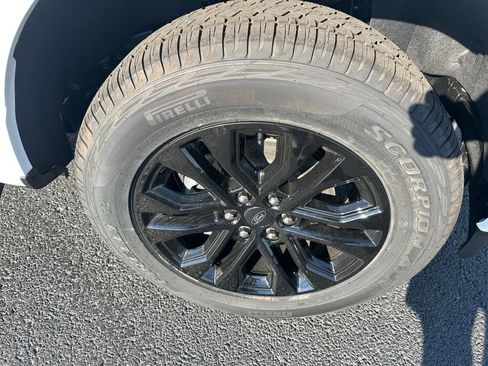 New 2025 Ford F150 XLT w/ Equipment Group 302A MID image 25