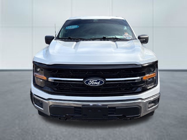 Used 2025 Ford F150 XLT w/ Equipment Group 301A Standard AWD/4WD image 6