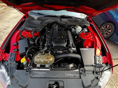 Used 2019 Ford Mustang Coupe RWD image 25