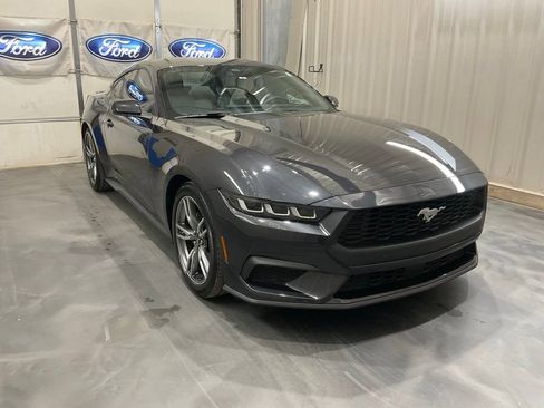 Used 2024 Ford Mustang Premium image 1