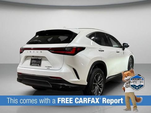 Used 2024 Lexus NX 350h AWD w/ Cold Area Package image 5