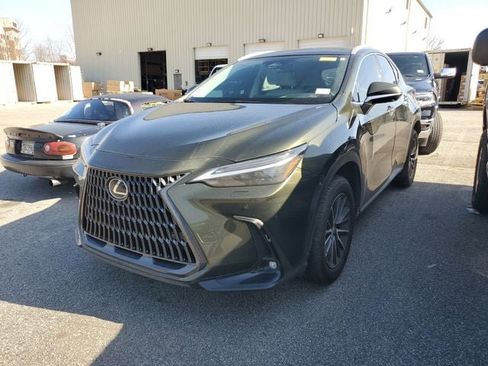 Used 2025 Lexus NX 350 AWD w/ Cold Area Package image 3