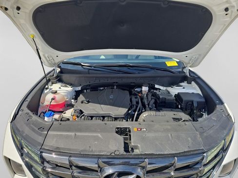 Used 2024 Hyundai Tucson Limited image 20
