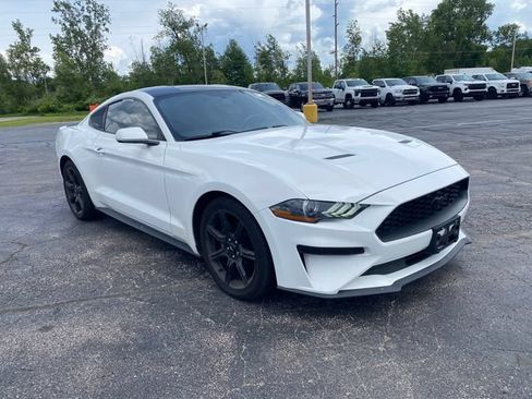 Used 2019 Ford Mustang Coupe w/ Equipment Group 101A RWD image 8