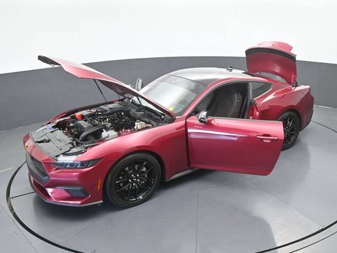 Used 2025 Ford Mustang Coupe w/ Mustang Nite Pony Package RWD image 52