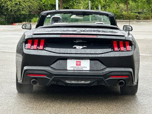 Used 2024 Ford Mustang Premium image 5