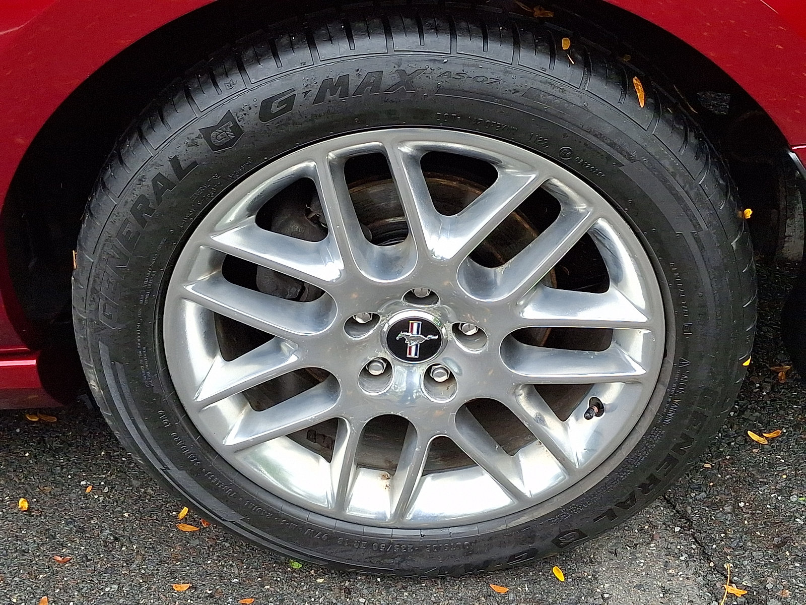 Used 2014 Ford Mustang Premium w/ Equipment Group 202A RWD image 10