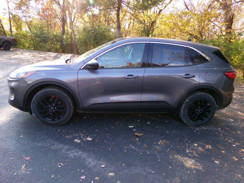 Used 2022 Ford Escape SE w/ Convenience Package image 6