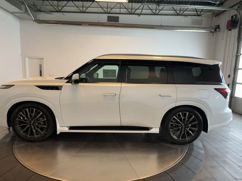 New 2026 INFINITI QX80 Autograph w/ Premium Cargo Package image 5