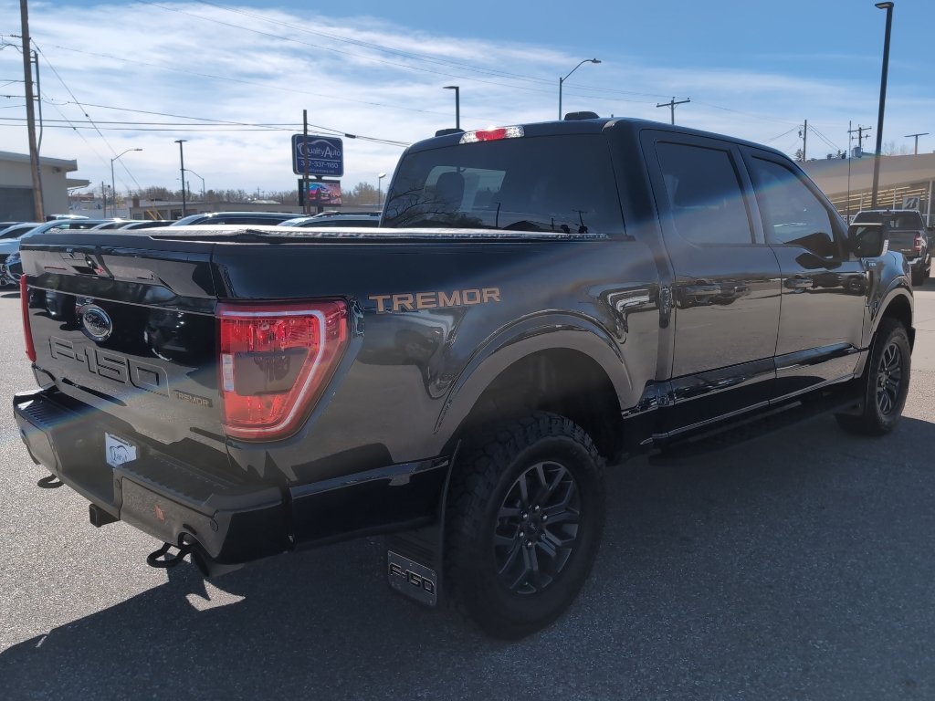 Used 2023 Ford F150 Tremor AWD/4WD image 6