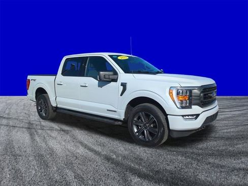 Used 2023 Ford F150 XLT w/ Equipment Group 302A High image 2