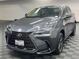 Certified 2025 Lexus NX 250 FWD image 2