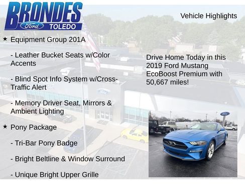 Used 2019 Ford Mustang Premium w/ Equipment Group 201A RWD image 5