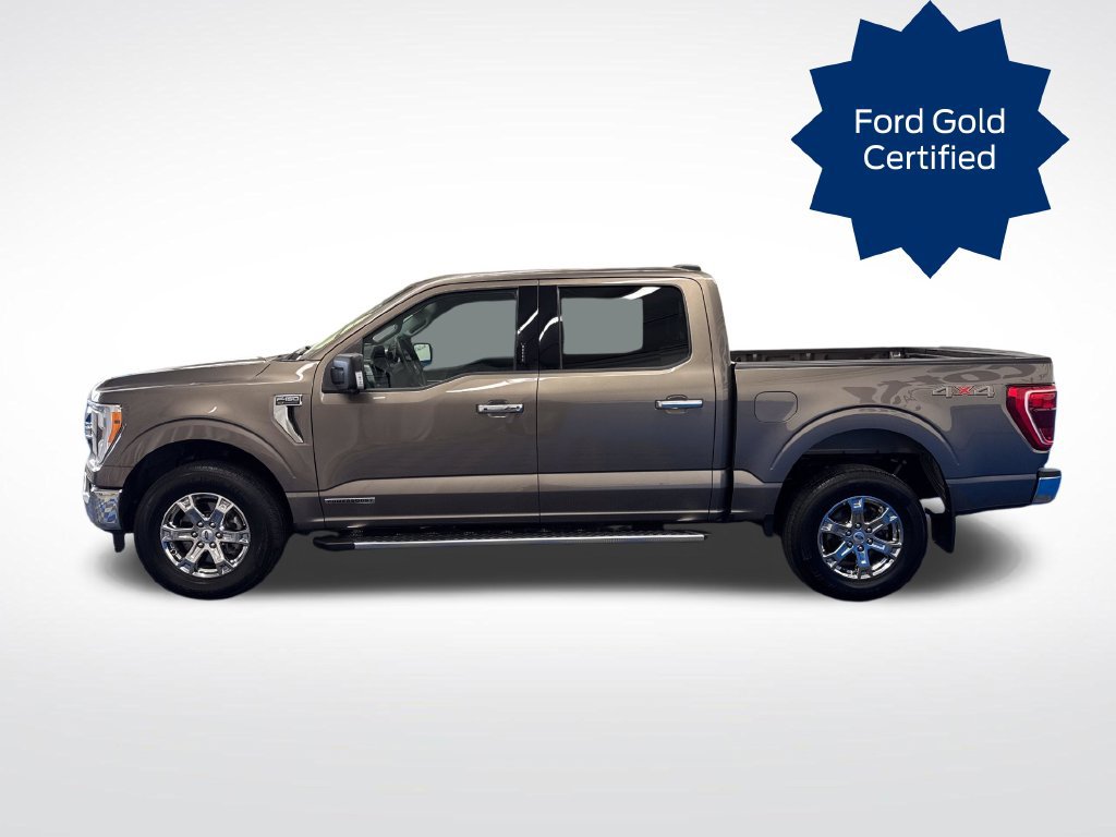 Used 2023 Ford F150 XLT w/ Equipment Group 302A High AWD/4WD image 2